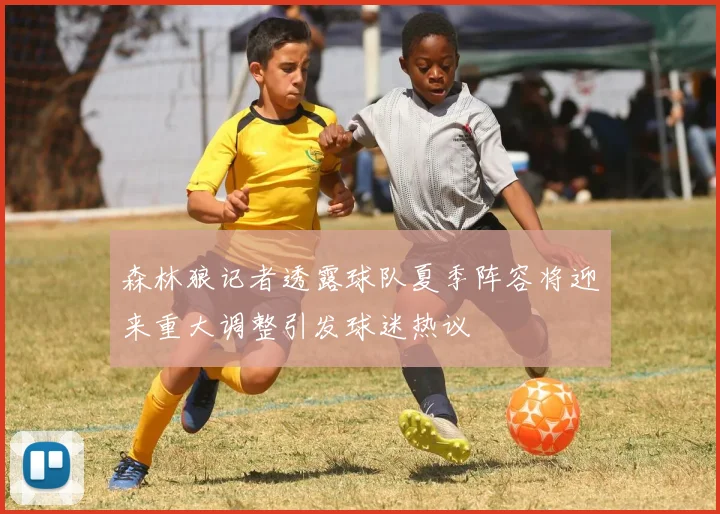 森林狼记者透露球队夏季阵容将迎来重大调整引发球迷热议