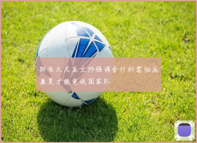 斯洛文尼亚主帅强调舍什科需彻底康复才能重返国家队