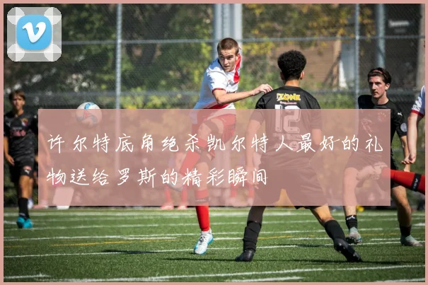 许尔特底角绝杀凯尔特人最好的礼物送给罗斯的精彩瞬间